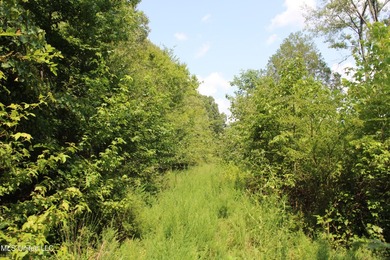 165+- acres fronting on Bethel Road located approximately 1 mile - photo 49