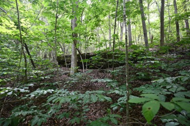 Lake of the Ozarks Acreage For Sale in Montreal Missouri