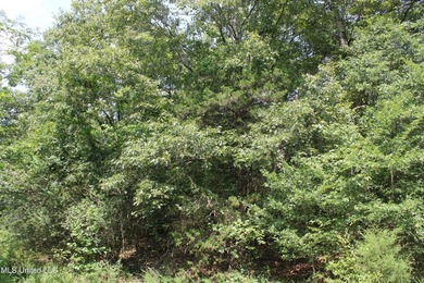 165+- acres fronting on Bethel Road located approximately 1 mile - photo 52