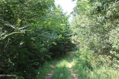 165+- acres fronting on Bethel Road located approximately 1 mile - photo 53