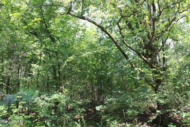 165+- acres fronting on Bethel Road located approximately 1 mile - photo 54