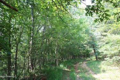 165+- acres fronting on Bethel Road located approximately 1 mile - photo 55
