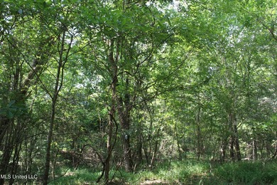 165+- acres fronting on Bethel Road located approximately 1 mile - photo 56