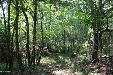 165+- acres fronting on Bethel Road located approximately 1 mile - photo 57