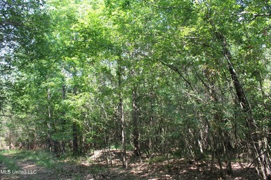 165+- acres fronting on Bethel Road located approximately 1 mile - photo 58