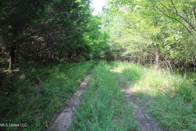 165+- acres fronting on Bethel Road located approximately 1 mile - photo 59