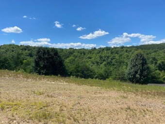 Watts Bar Lake Lot For Sale in Kingston Tennessee