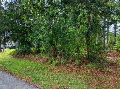 Florida buyers are waking up fast to one reality: affordable - photo 17