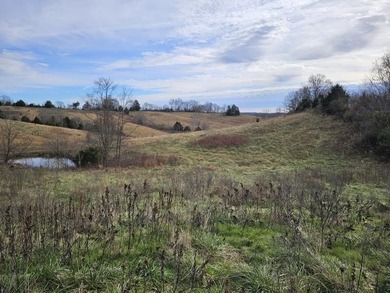 (private lake, pond, creek) Acreage For Sale in Greensburg Kentucky