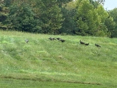 Lake Acreage For Sale in Farmville, Virginia