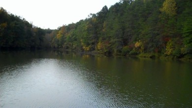 Leesville Lake Lot For Sale in Lynch Station Virginia