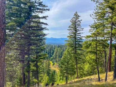 Lake Acreage For Sale in Seeley Lake, Montana