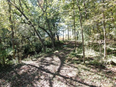 28± acre Sauk County Gem of a Property - photo 12