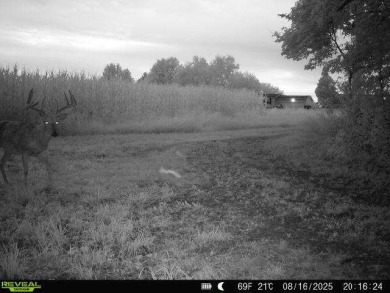 28± acre Sauk County Gem of a Property - photo 24