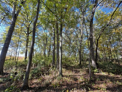 28± acre Sauk County Gem of a Property - photo 20
