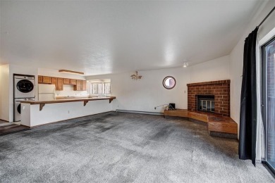 Lake Condo For Sale in Frisco, Colorado