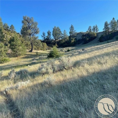 Yellowstone River Acreage For Sale in Custer Montana