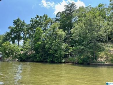 Great building lot with 123.57 feet of year-round water - Lake Lot For Sale in Wedowee, Alabama