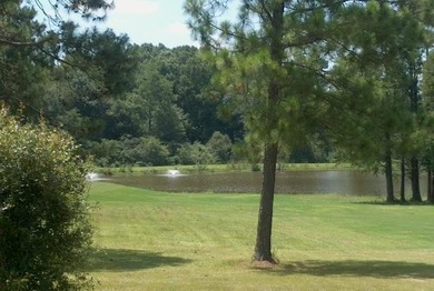 (private lake, pond, coastal) Acreage For Sale in Ashburn Georgia
