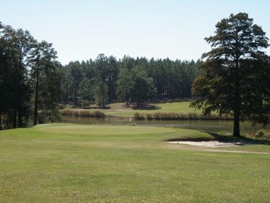 Beautiful land/lots in Wanee Lakes Golf Country Club surrounding - photo 2