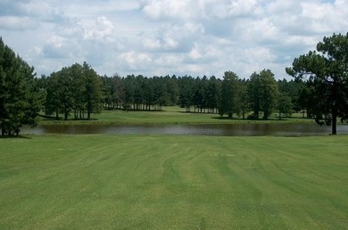 Beautiful land/lots in Wanee Lakes Golf Country Club surrounding - photo 6