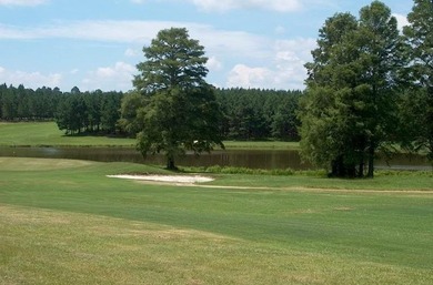 Beautiful land/lots in Wanee Lakes Golf Country Club surrounding - photo 8