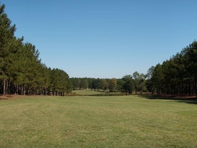 Beautiful land/lots in Wanee Lakes Golf Country Club surrounding - photo 10