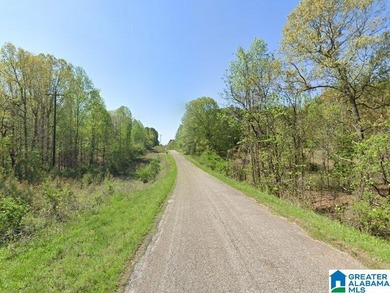3.68 wooded acres just minutes from Swagg Boat Ramp! Great - photo 1