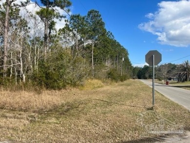 Blackwater River Lot For Sale in Milton Florida
