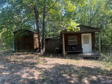 Wappapello Lake Acreage For Sale in Wappapello Missouri