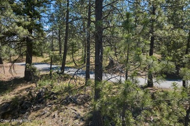 Offered for the first time ever, this extraordinary Spokane - photo 48