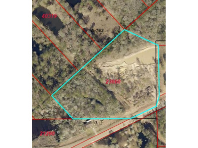(private lake, pond, creek) Acreage For Sale in Kountze Texas
