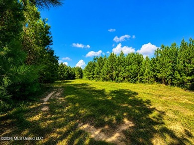 This 66+/- acre tract in the West Lincoln School District - photo 13