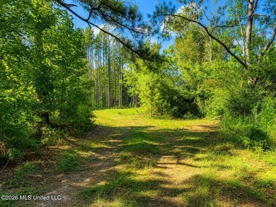 This 66+/- acre tract in the West Lincoln School District - photo 14
