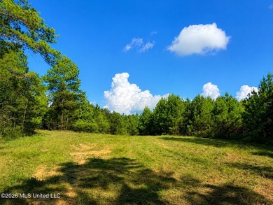 This 66+/- acre tract in the West Lincoln School District - photo 16