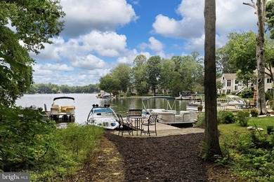 Experience Lake of the Woods main lake waterfront living with - photo 46