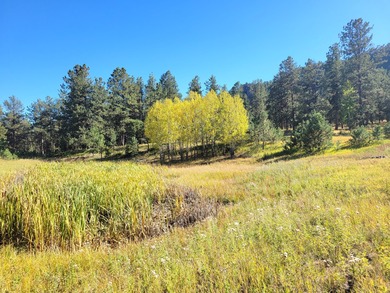 (private lake, pond, creek) Acreage For Sale in Florissant Colorado