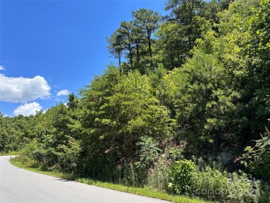 Lake Lot For Sale in Lake Lure, North Carolina