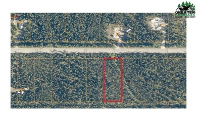 Lake Lot For Sale in Salcha, Alaska