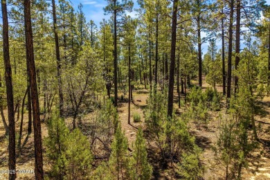 Lake Lot For Sale in Lakeside, Arizona