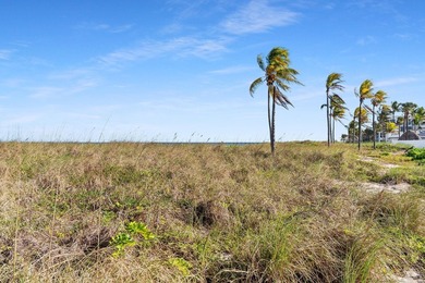 Rare 1.43-acre direct oceanfront development opportunity in the - photo 20
