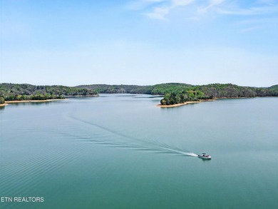 One of the best breathtaking views on Norris Lake. This condo is - photo 34