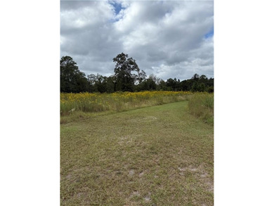 (private lake, pond, coastal) Acreage Active Under Contract in Waynesville Georgia