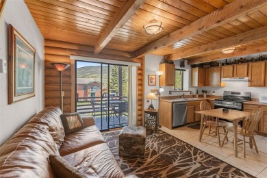 Lake Condo For Sale in Dillon, Colorado