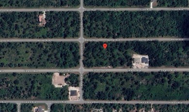Port Charlotte Waterway Lakes Area Lot For Sale in Port Charlotte Florida
