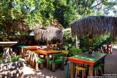 The Tropics of the Islands in the Texas Hill Country. Toucan - photo 27