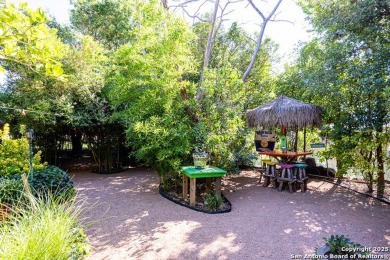 The Tropics of the Islands in the Texas Hill Country. Toucan - photo 41