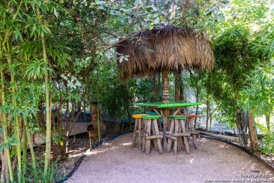 The Tropics of the Islands in the Texas Hill Country. Toucan - photo 43