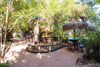 The Tropics of the Islands in the Texas Hill Country. Toucan - photo 44