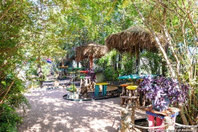 The Tropics of the Islands in the Texas Hill Country. Toucan - photo 46